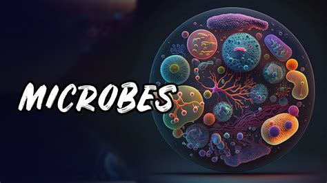  Microbes Rule: A Journey into the Invisible World – Unveiling the Symphony of Tiny Lifeforms